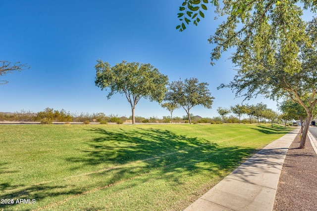 view of community with a lawn