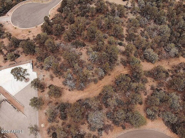 1214 N Marissa Cir Unit 9, Payson, AZ 85541