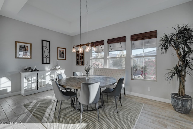 dining room featuring light hardwood / wood-style floors and a raised ceiling