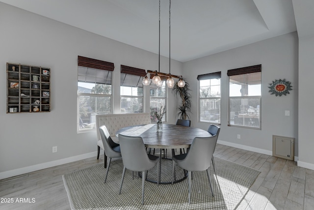 dining area with a healthy amount of sunlight and light wood-type flooring