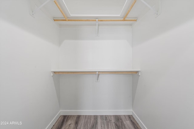 walk in closet with hardwood / wood-style floors