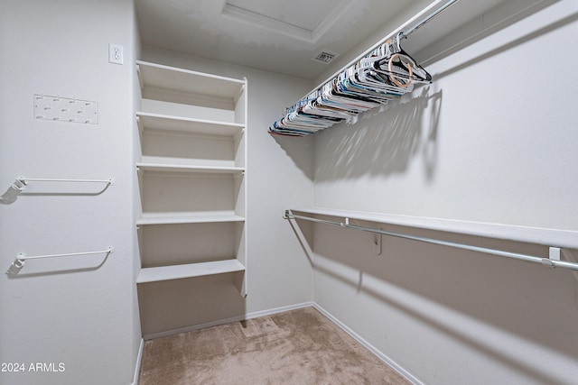 walk in closet with light carpet