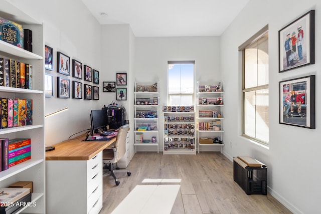 office space featuring light hardwood / wood-style flooring