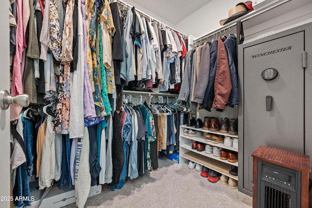 spacious closet with carpet