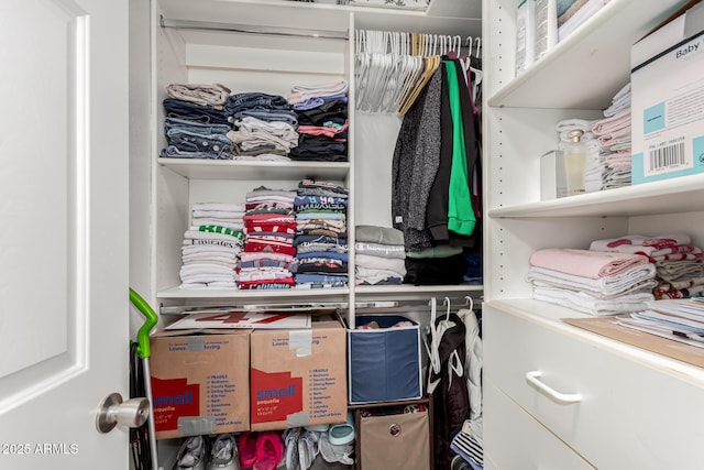 view of spacious closet