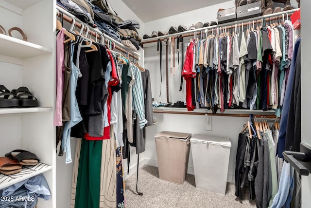 25210 N 40th Ave, Phoenix, AZ 85083 - walk in closet featuring carpet
