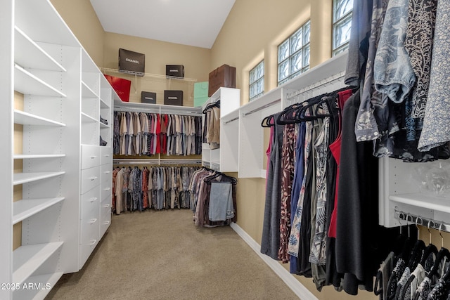 walk in closet with carpet floors