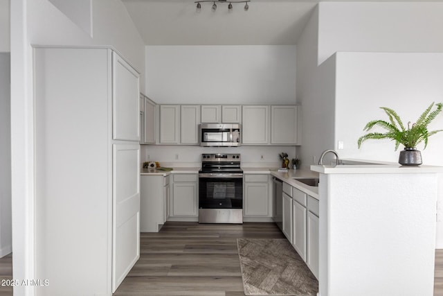 kitchen featuring appliances with stainless steel finishes, dark hardwood / wood-style flooring, and sink