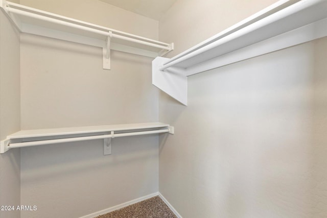 spacious closet with carpet flooring