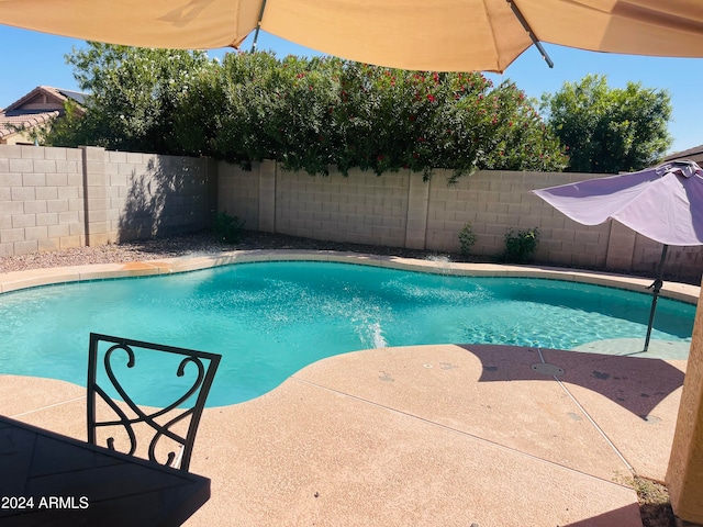 view of swimming pool with a patio