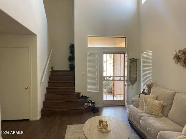 foyer featuring a high ceiling and dark hardwood / wood-style floors