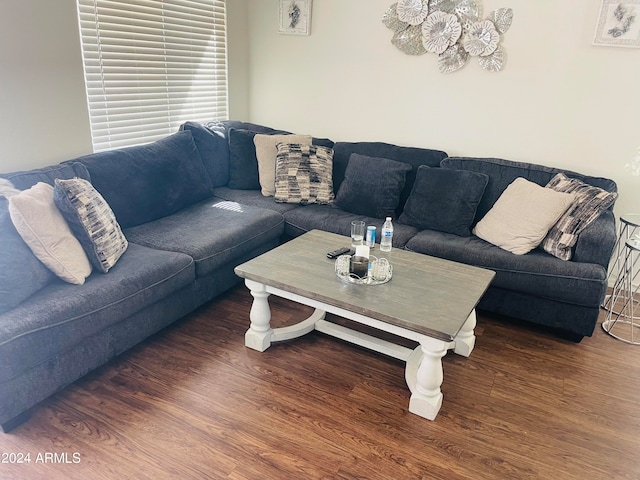 living room featuring dark wood-type flooring