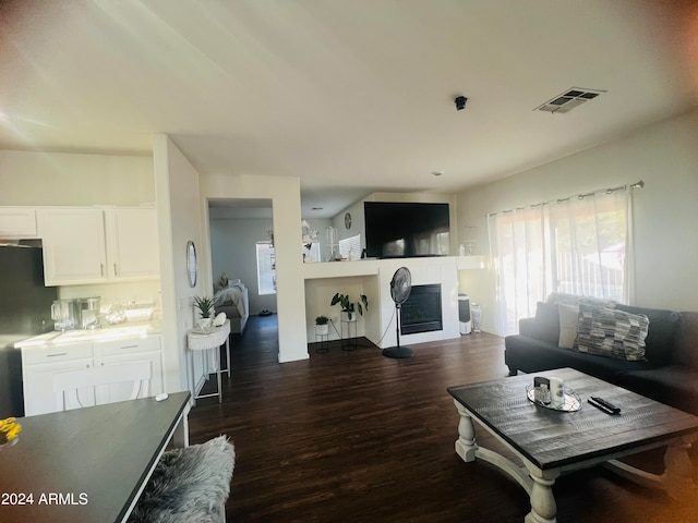 living room with dark hardwood / wood-style flooring