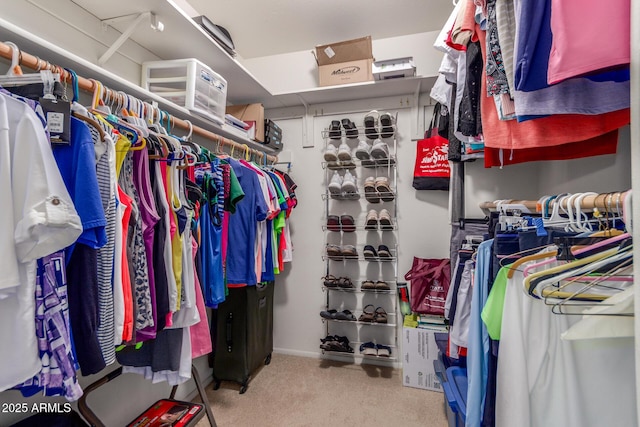 walk in closet featuring carpet flooring