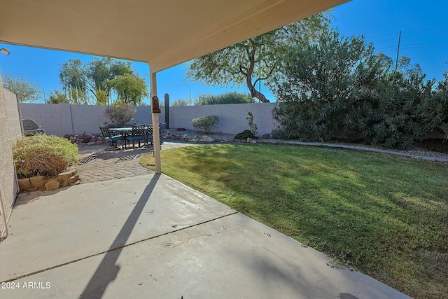 view of yard featuring a patio