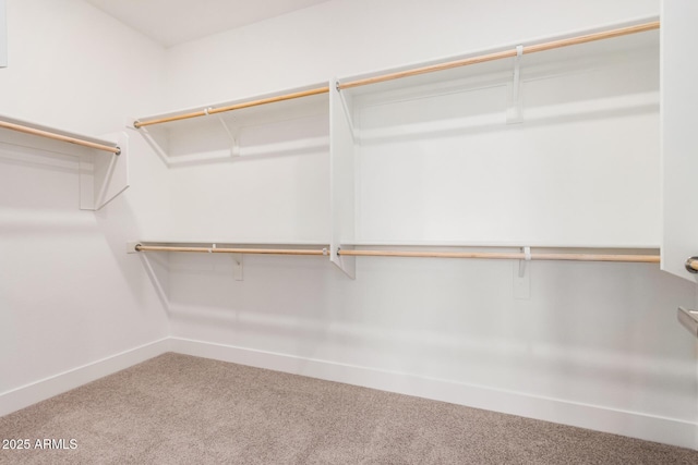 19354 S 212th Pl, Queen Creek, AZ 85142 - spacious closet with carpet floors