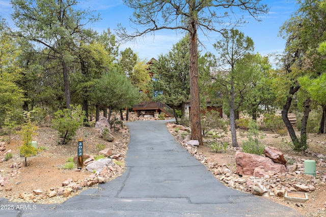 view of home's community with aphalt driveway