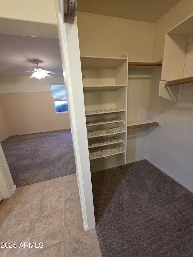 22508 W Antelope Trl, Buckeye, AZ 85326 - spacious closet featuring light colored carpet and ceiling fan