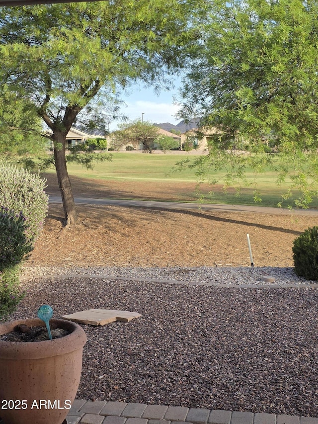 22508 W Antelope Trl, Buckeye, AZ 85326 - view of yard