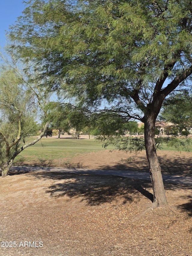 22508 W Antelope Trl, Buckeye, AZ 85326 - view of yard
