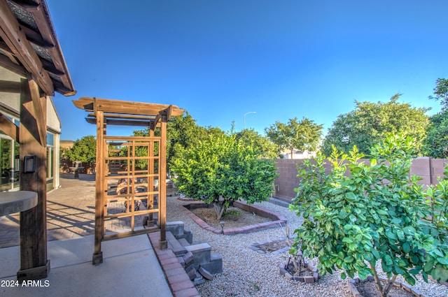 view of yard with a patio