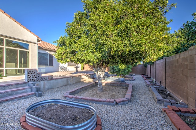 view of yard with a patio