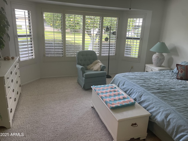 bedroom featuring carpet flooring