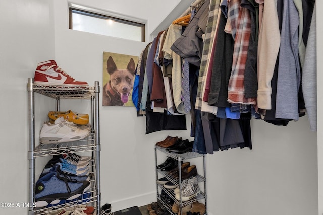 view of spacious closet