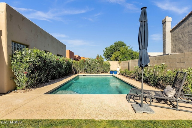 view of pool with a fenced backyard, a fenced in pool, and a patio area
