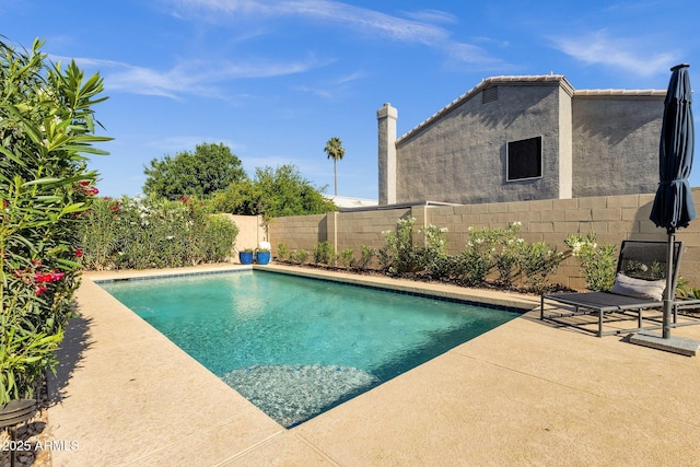 view of swimming pool featuring a fenced in pool, a fenced backyard, and a patio