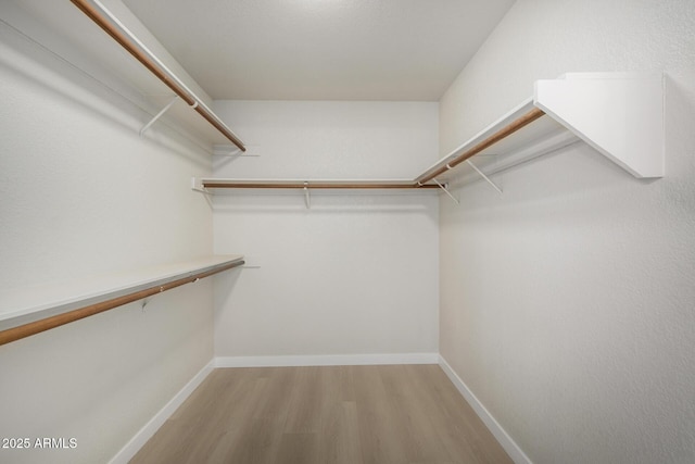 319 N Riata St, Gilbert, AZ 85234 - walk in closet with wood finished floors