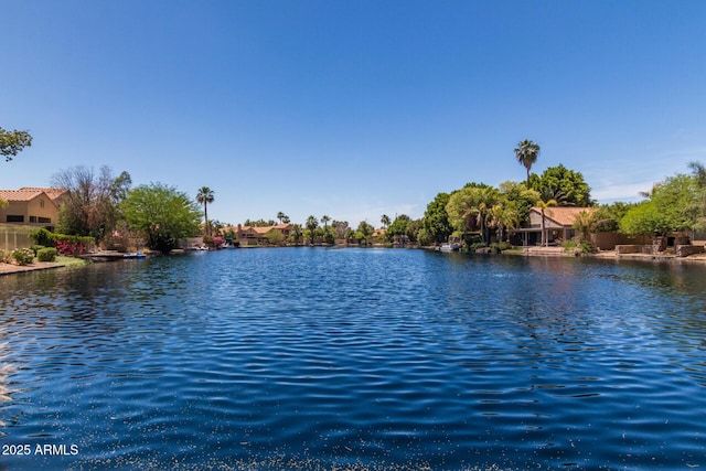 319 N Riata St, Gilbert, AZ 85234 - water view