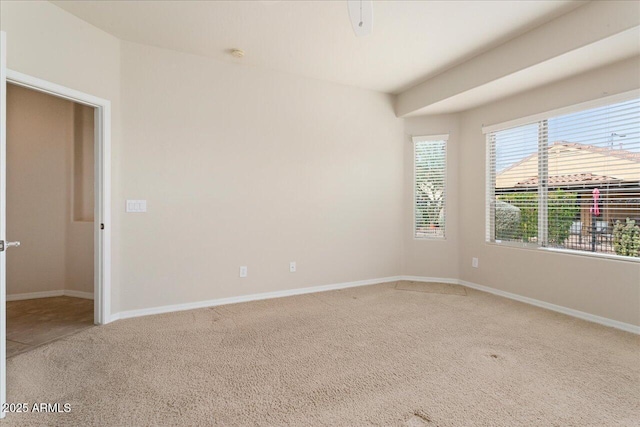 spare room featuring carpet floors