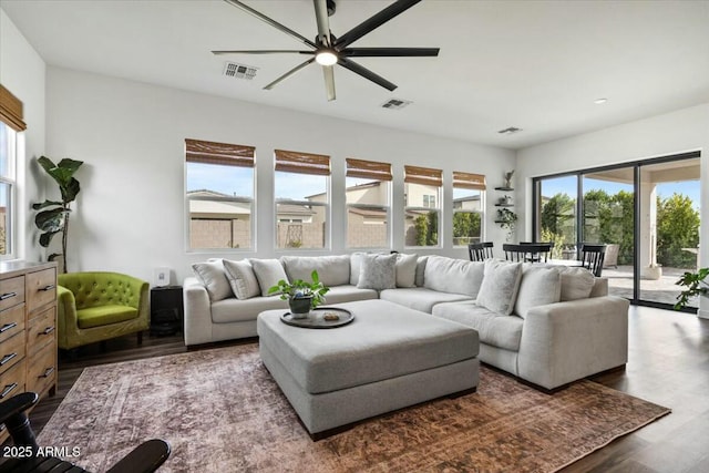 35241 N Covelite Way, San Tan Valley, AZ 85144