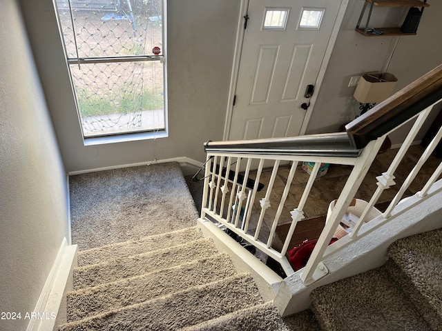 stairway featuring carpet flooring