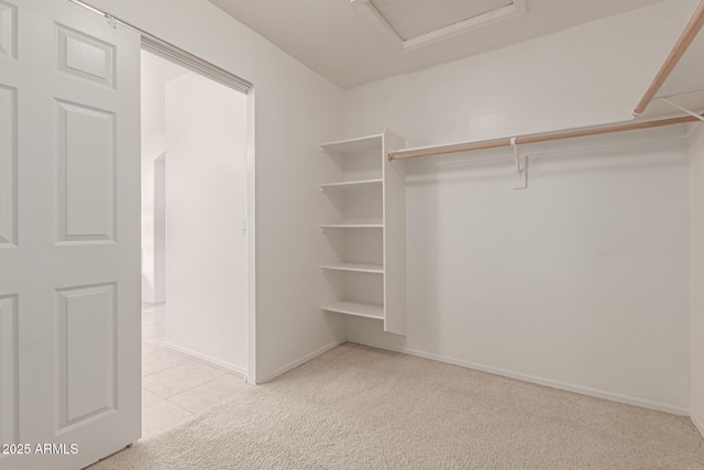 spacious closet featuring light colored carpet