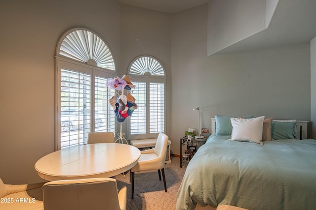 bedroom featuring carpet floors
