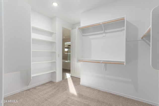 spacious closet featuring light carpet