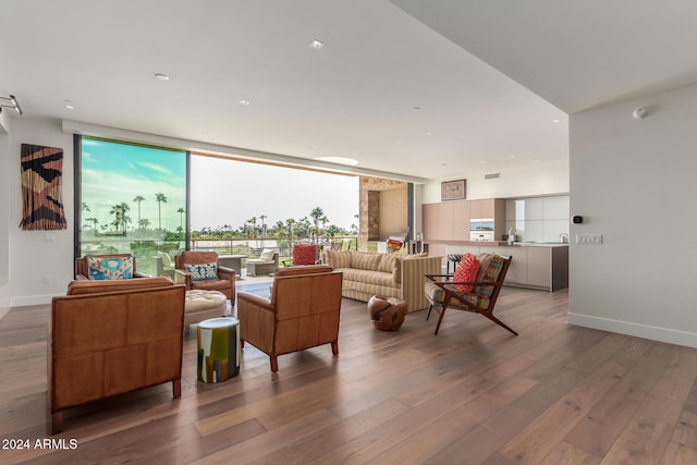 living room with floor to ceiling windows and hardwood / wood-style floors