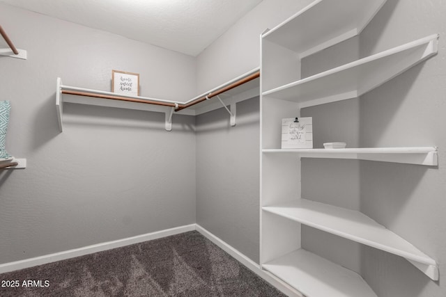 walk in closet featuring carpet flooring