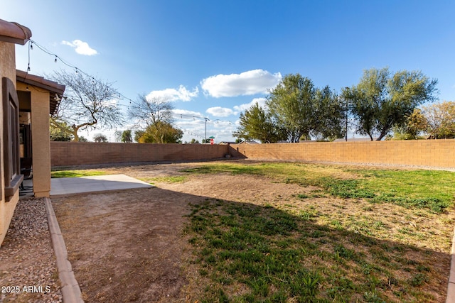 view of yard with a patio area and a fenced backyard