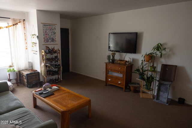 living area with carpet flooring and baseboards