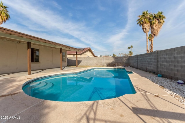 view of swimming pool featuring a patio