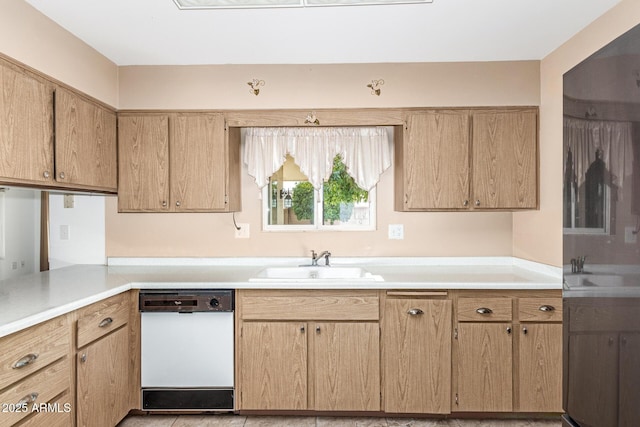 kitchen with white dishwasher and sink