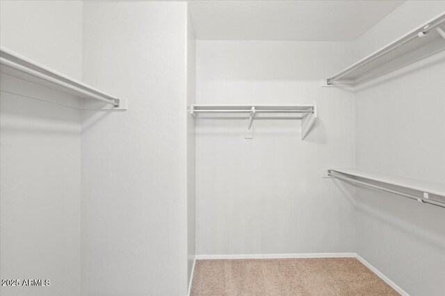 1453 E S Fork Dr, Phoenix, AZ 85048 - spacious closet with carpet