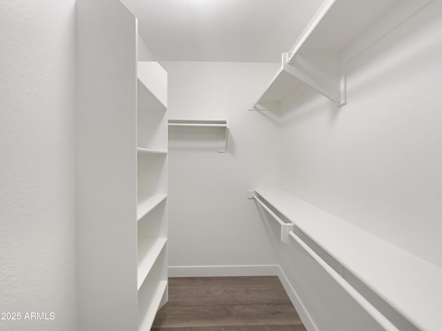 spacious closet with dark wood finished floors