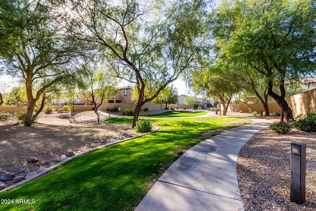 view of community featuring a yard