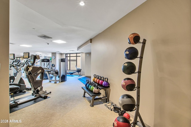 workout area with carpet