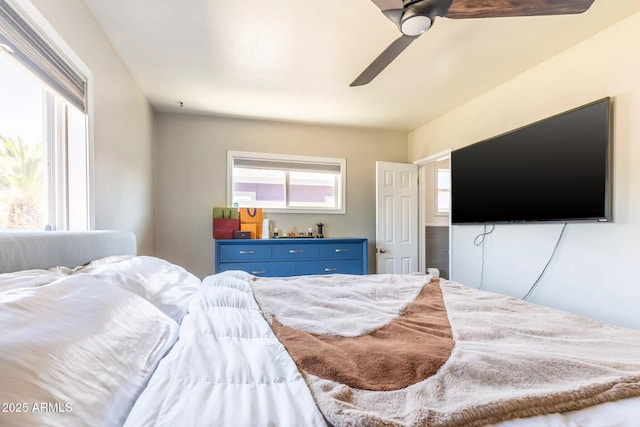 bedroom with ceiling fan