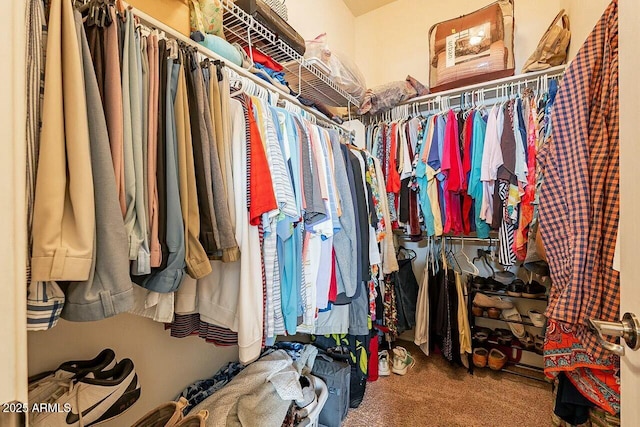 spacious closet featuring carpet flooring